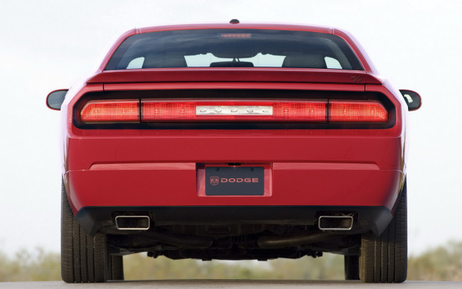 Обои картинки фото dodge, challenger, 2008, автомобили