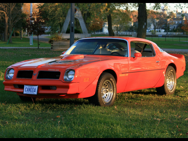 Обои картинки фото автомобили, pontiac