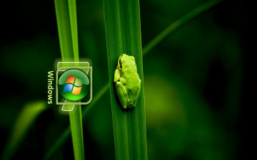 Картинка компьютеры windows vienna