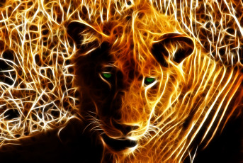 Картинка 3д графика animals животные лев