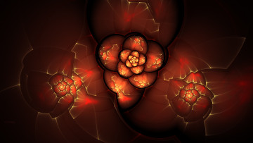 Картинка 3д графика fractal фракталы цвета узор фон