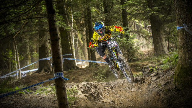 Обои картинки фото спорт, велоспорт, гонка, лес, велосипед