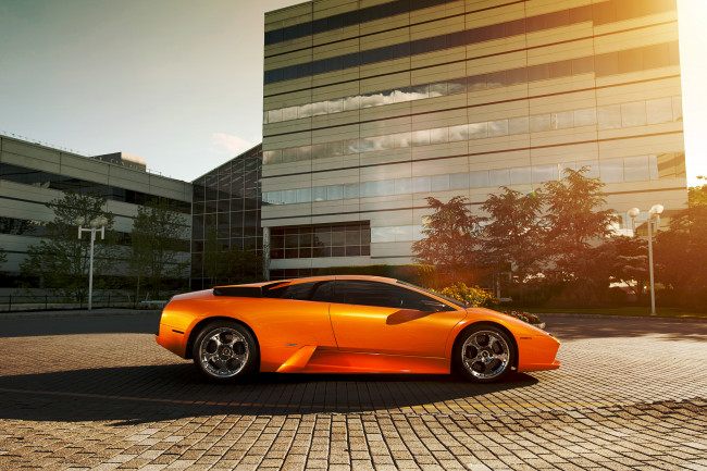 Обои картинки фото автомобили, lamborghini, murcielago