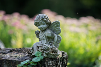 Картинка разное рельефы +статуи +музейные+экспонаты пень листья статуэтка ангел