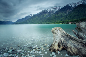Картинка природа реки озера озеро лес горы швейцария