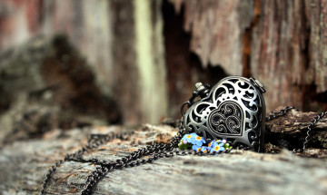 Картинка разное украшения +аксессуары +веера сердце любовь цветы лепестки