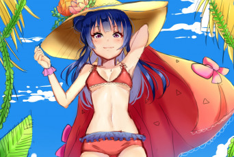 Картинка аниме love+live +school+idol+project девушка