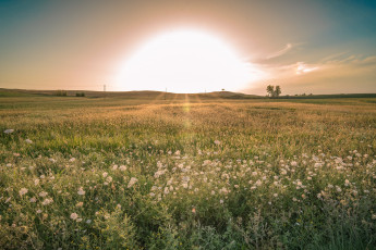 Картинка природа восходы закаты рассвет