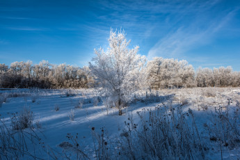 Картинка природа зима снег