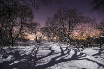 Картинка природа дороги тракт