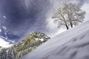 Картинка природа горы скалы