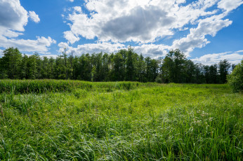 Картинка природа пейзажи простор