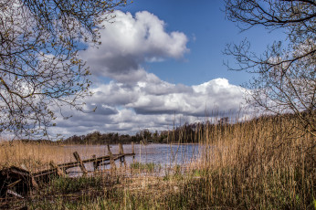 Картинка природа реки озера лес река