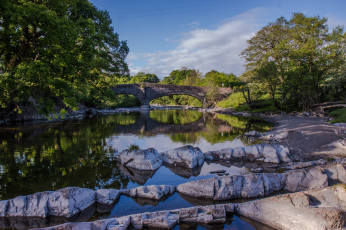 Картинка природа реки озера лес река