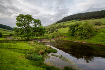 Картинка природа реки озера река лес