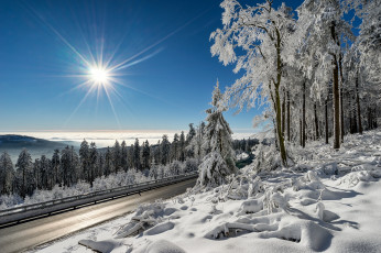 Картинка природа зима снег