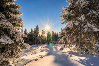 Картинка природа зима снег