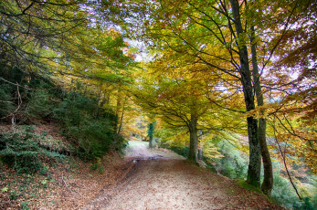 Картинка природа дороги тракт