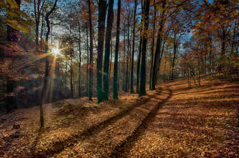 Картинка природа дороги тракт