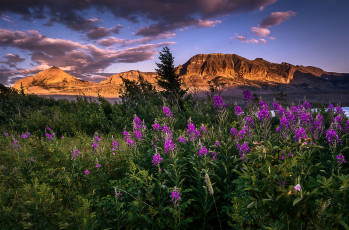 Картинка природа горы скалы