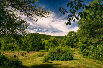 Картинка природа пейзажи деревья