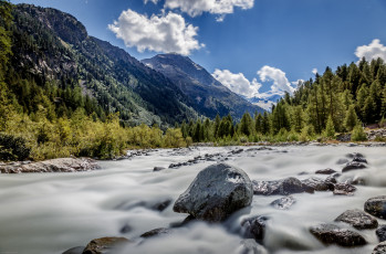 Картинка природа реки озера река лес