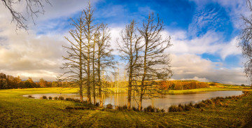 Картинка природа реки озера река лес