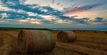 Картинка природа поля небо тюки поле