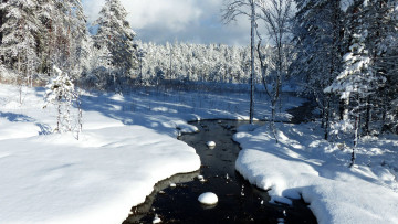 Картинка природа зима снег