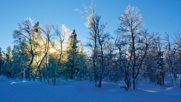 Картинка природа зима снег