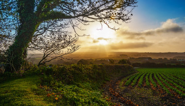 Картинка природа восходы закаты рассвет