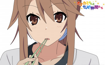 обоя аниме, ookami-san to shichinin no nakama-tachi, девушка, взгляд, фон