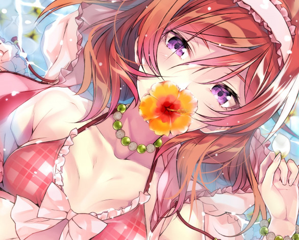 Обои картинки фото аниме, love live,  school idol project, девушка