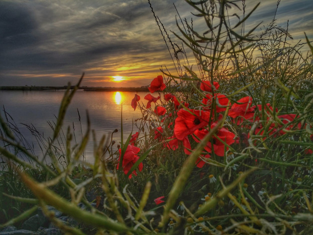 Обои картинки фото природа, восходы, закаты, рассвет