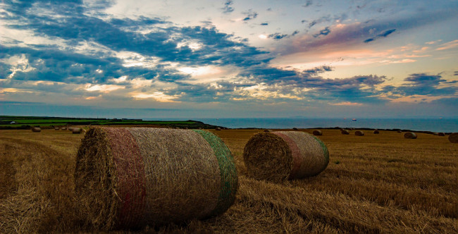 Обои картинки фото природа, поля, небо, тюки, поле