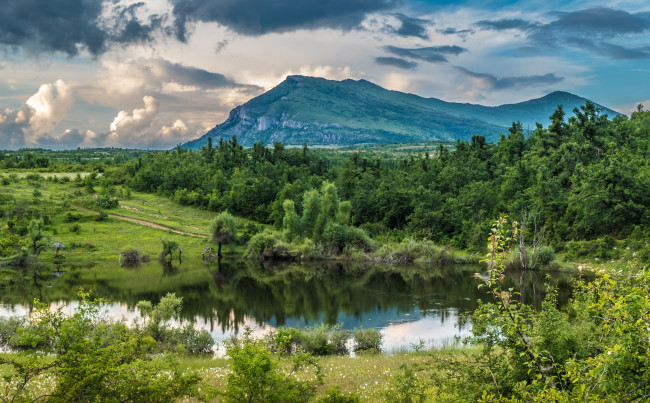 Обои картинки фото природа, реки, озера, река, лес