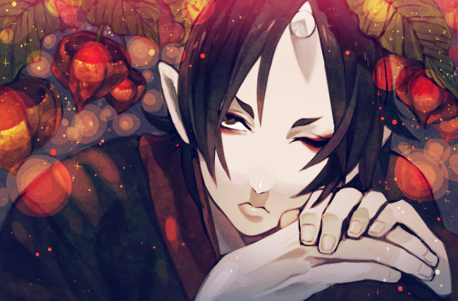 Обои картинки фото аниме, hoozuki no reitetsu, hoozuki