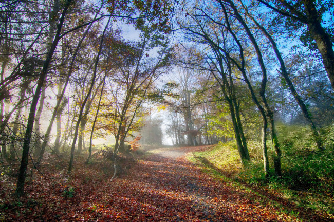 Обои картинки фото природа, дороги, тракт