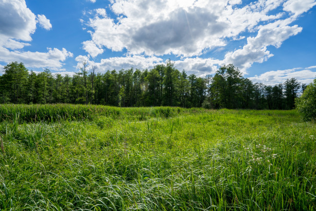 Обои картинки фото природа, пейзажи, простор