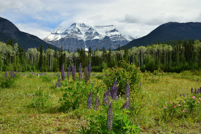 Обои картинки фото природа, пейзажи, скалы