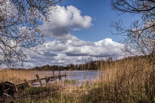 Обои картинки фото природа, реки, озера, лес, река