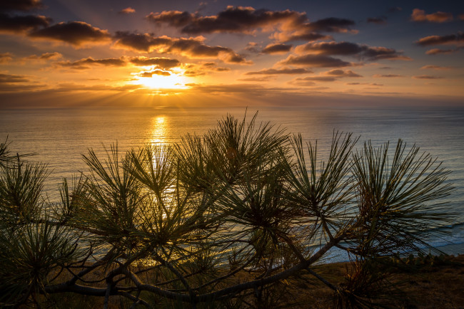 Обои картинки фото природа, восходы, закаты, рассвет