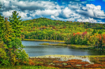 Картинка природа реки озера простор