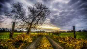 Картинка природа дороги простор