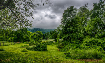 Картинка природа пейзажи простор