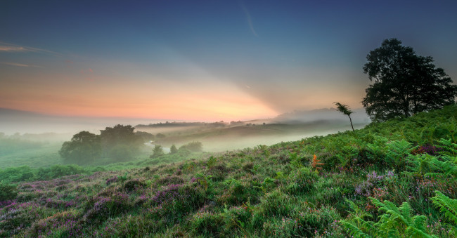 Обои картинки фото природа, пейзажи, простор