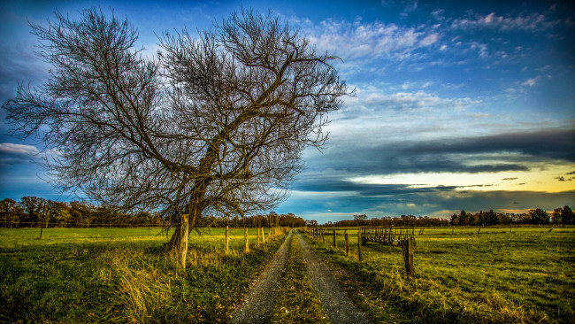 Обои картинки фото природа, дороги, простор