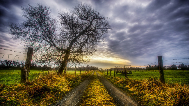 Обои картинки фото природа, дороги, простор