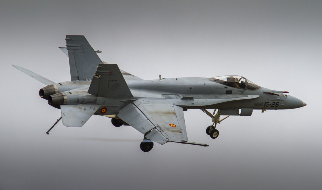 Обои картинки фото mcdonnell douglas ef-18m hornet, авиация, боевые самолёты, истребитель