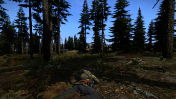 Картинка arma+2 +dayz+mod видео+игры dayz+standalone игра